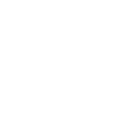 Accor In Lyon