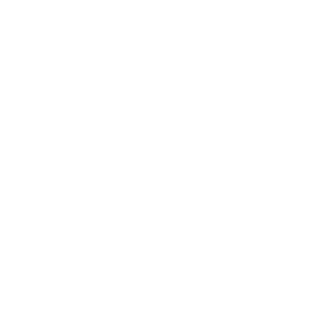 Ninkasi